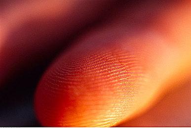 今年的TGA可能有大量新IP公开